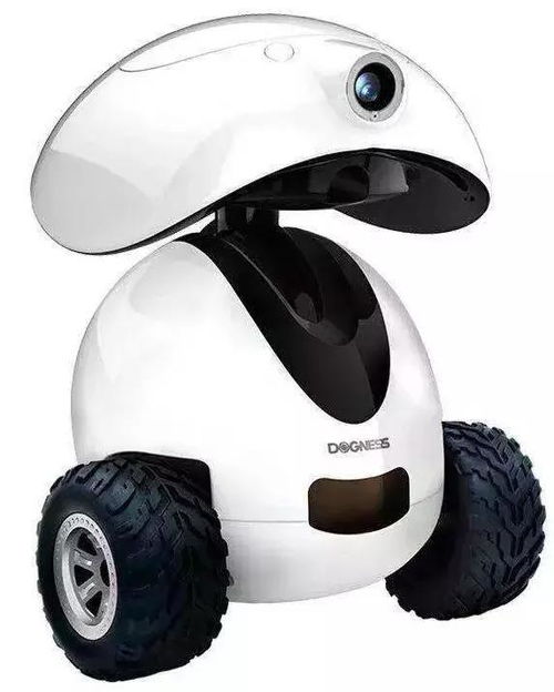 寵物新國貨崛起 中寵、瘋狂小狗、它它、多尼斯、依依、小鮮糧與物聯網技術的融合與發展